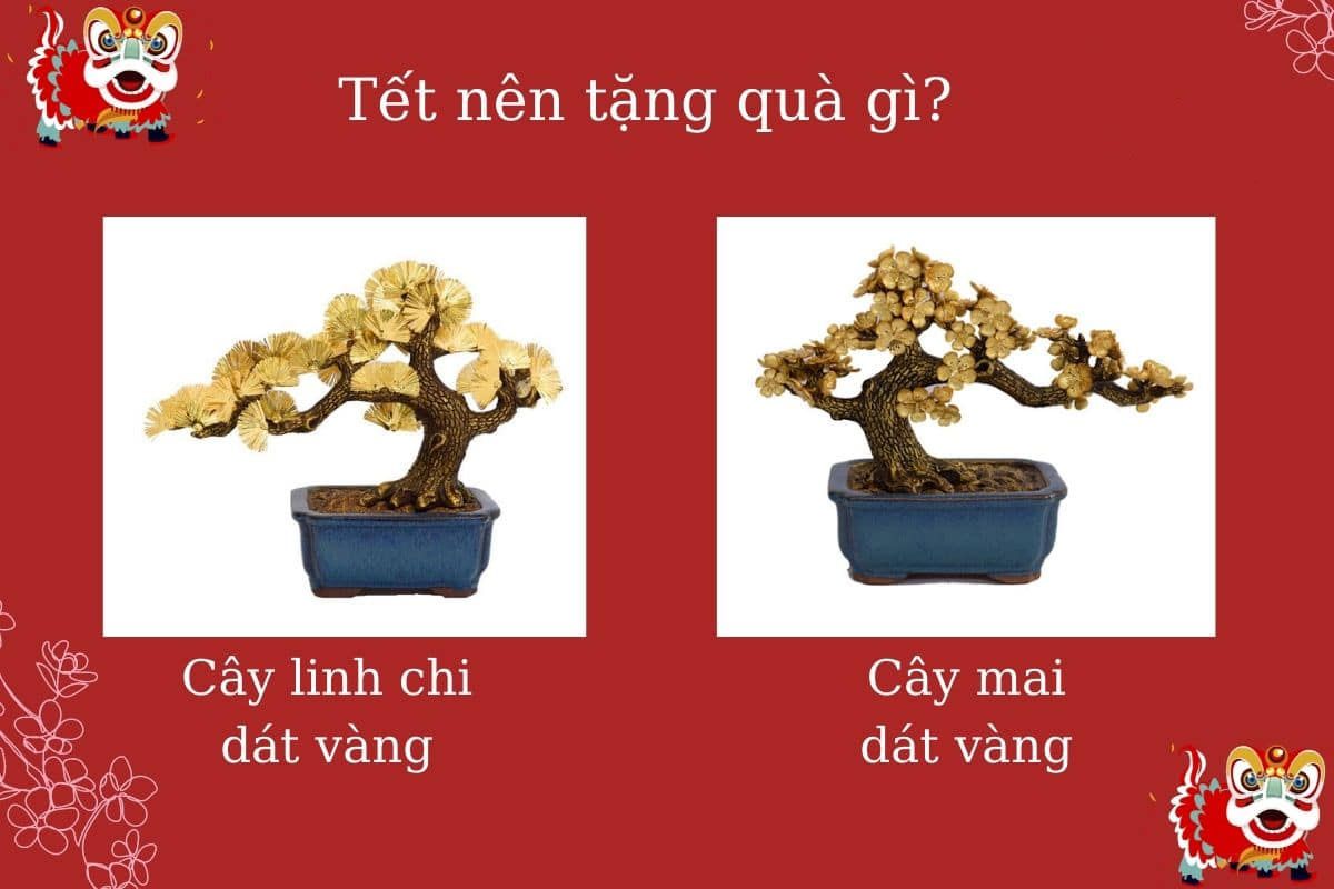 Tết nên tặng quà gì 
